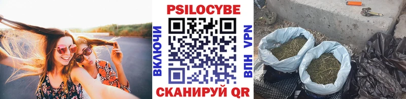 Галлюциногенные грибы Cubensis где найти Рассказово